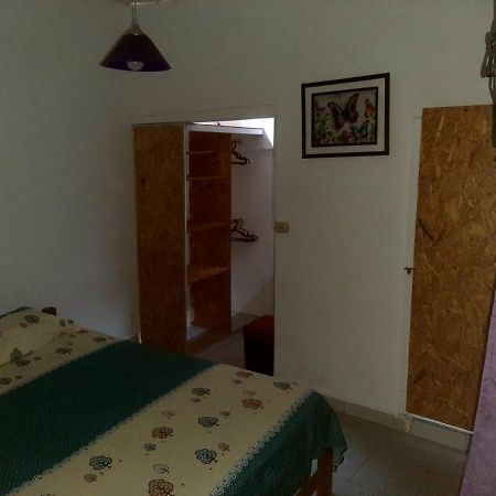 Backpacker Kitara House Otel Tarapoto Dış mekan fotoğraf