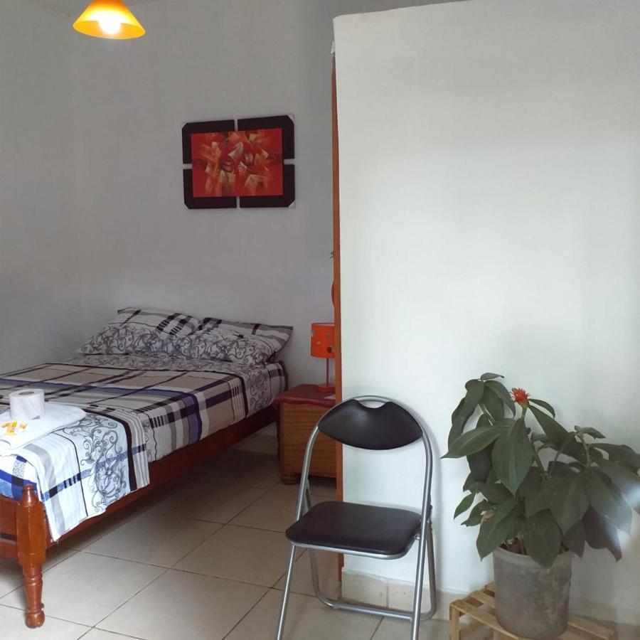 Backpacker Kitara House Otel Tarapoto Dış mekan fotoğraf