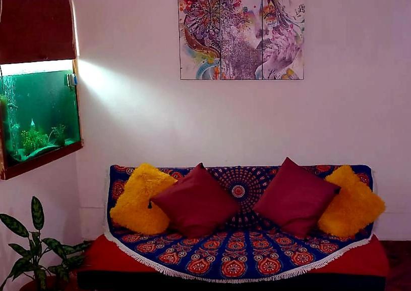Backpacker Kitara House Otel Tarapoto Dış mekan fotoğraf