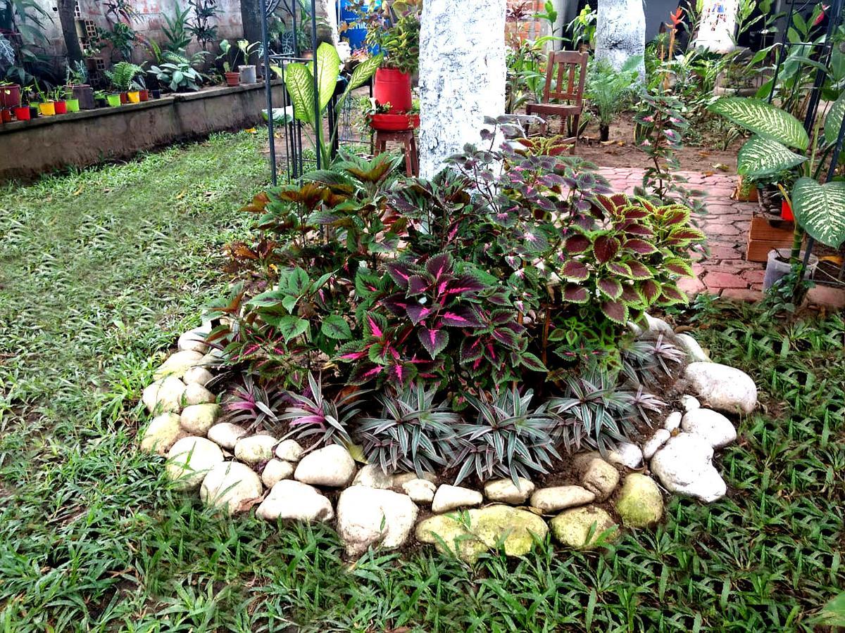 Backpacker Kitara House Otel Tarapoto Dış mekan fotoğraf