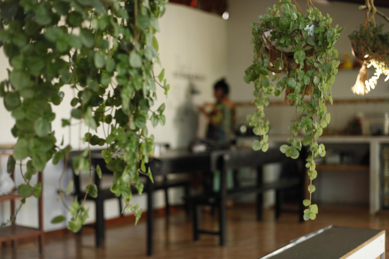 Backpacker Kitara House Otel Tarapoto Dış mekan fotoğraf