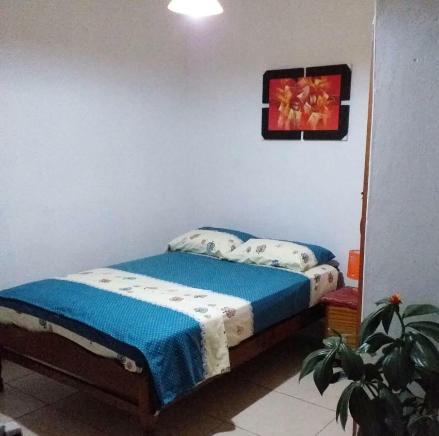 Backpacker Kitara House Otel Tarapoto Dış mekan fotoğraf